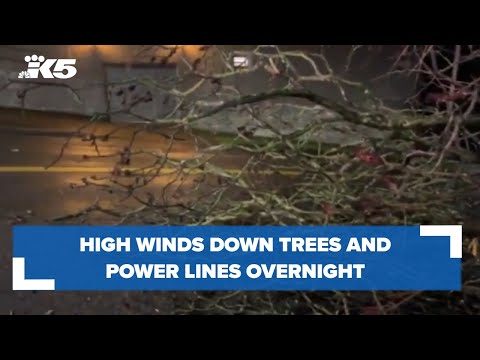 Powerful Wind Gusts Took Down Trees And Damaged Power Lines Overnight ...