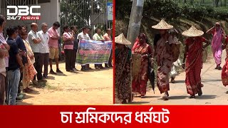 ৭ মাসের বকেয়া বেতনের দাবিতে হবিগঞ্জে চা শ্রমিকদের ধর্মঘট | DBC NEWS