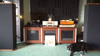 Nottingham Ace Spacedeck, Ortofon A90, Audiomods Series 6, Vandersteen 3a Signature’s