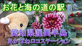 道の駅:あかばねロコステーション 愛知県　渥美半島