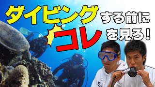 【体験ダイビング】今年一発目！16年ダイビング業界にいるフリーダイビング 日本代表が今回はスキューバダイビングについてお話しします！