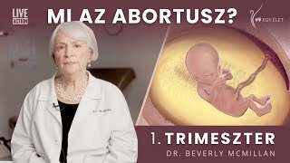 Mi az abortusz?  - 1. trimeszter