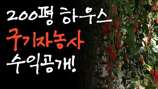 [구기자 농사일기#15] 구기자농사 200평 시즌종료 연매출 \u0026 비용 수익 공개 (부분은 3분 3초부터 보세요)