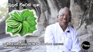 බුලත් විටහි ගුණ | බුලත් විට පිළිකා කාරකද | Benefits of Betel Leaf | Athugala LK