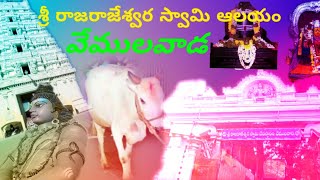 శ్రీ రాజరాజేశ్వర స్వామి|దేవస్థానం వేములవాడ|Sri RajaRajeswara temple vemulawada@Super sravan specials