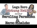 Lagu Karo-Jantung Hatiku versi Seruling Parmahan FT Marco Sihaloho (Cover)