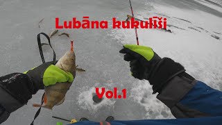 Lubānas kukulīši -  Vol.1 #neasakas #madona #lubana #icefishing #salmo  #perch #norfin #cope #salmo