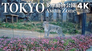 【4K】多摩動物公園④ アジア園（バイノーラル録音）