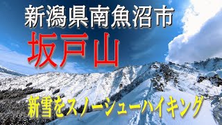 新潟県南魚沼市　坂戸山(2022.01.29)