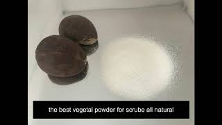 Tagua nut powder, Natural Scrub, Cosmetics products wholesale