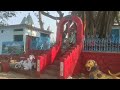 navagraha temple guwahati assam funny monkey fight inside the temple