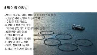 123 대서양연어 Salmon, Atlantic