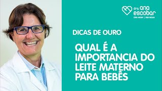 Qual é a importancia do leite materno para bebês