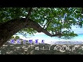 08~珊瑚戀~國語~伴唱歌曲