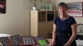 Allergy Treatment with Sue Taylor