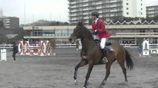 2016.3.5 第47回関東学生馬術新人競技大会 オープン競技 110cm 岩﨑星斗 慶湊号