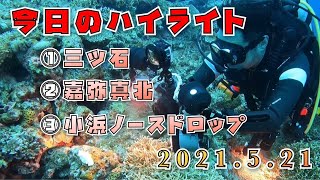 2021年5月21日のダイビングハイライト【石垣島】今日はマクロな水中世界をご案内〜♪