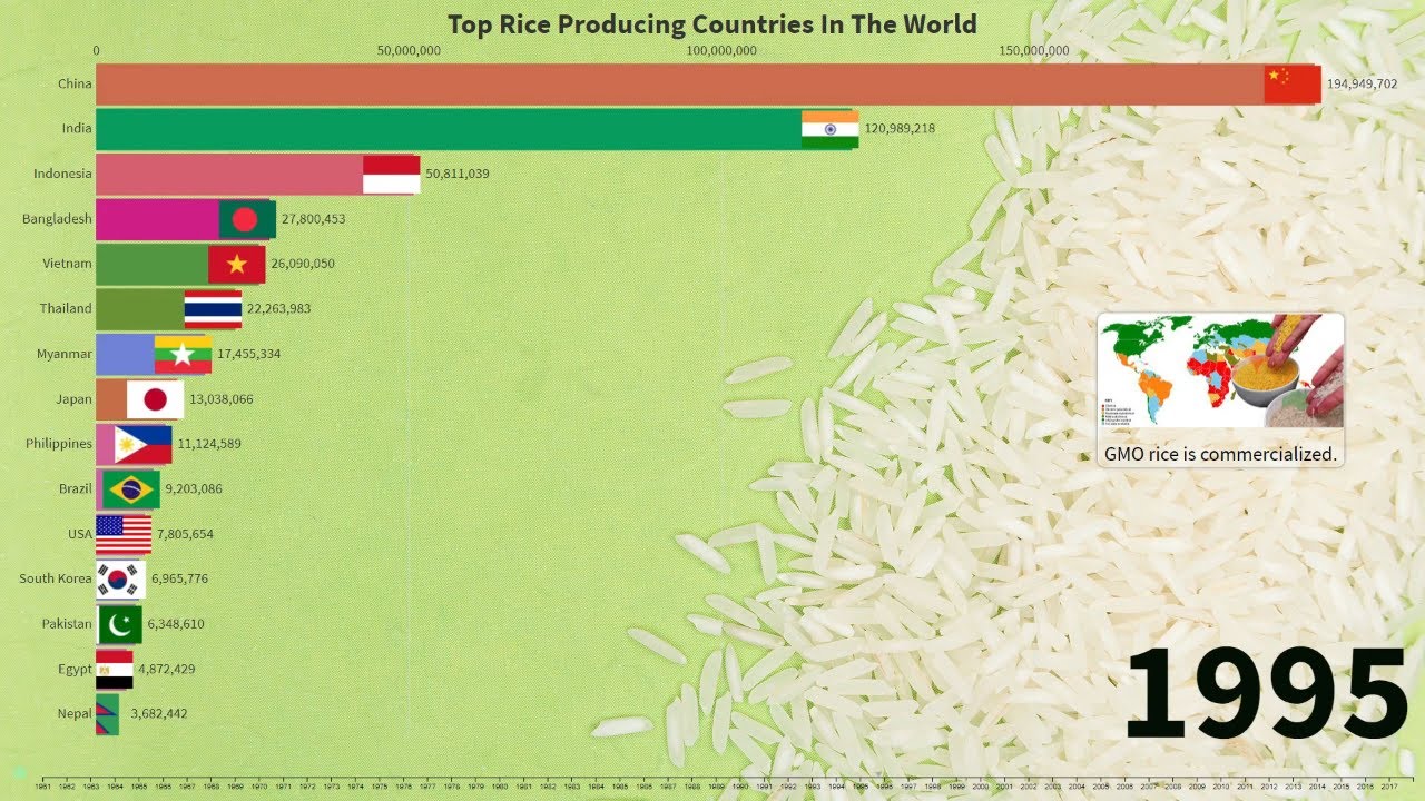 Top Rice Producing Countries In The World - YouTube