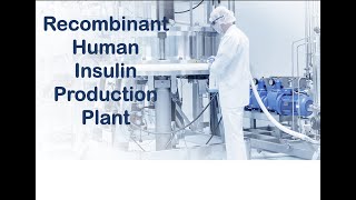 Production of Recombinant Human Insulin from E. Coli and Downstream Processing