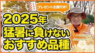 プレゼント企画付き！家庭菜園や農園で2025年猛暑に負けないおすすめ品種をご紹介！2024年栽培の振り返りと2025年栽培の注意点を徹底解説！【農園ライフ】