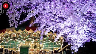 【和のイルミネーション】東京ドームシティ Japanese-style Illuminations | Tokyo Dome City Winter Illumination 2019