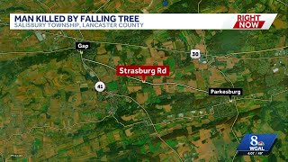 Lancaster County coroner identifies man killed by fallen tree in backyard