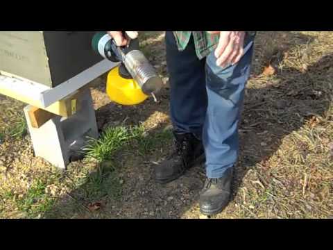Controling Varroa Mites in Bee Hives, Naturally Controling Varroa Mites in Bee Hives, Naturally