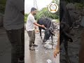 a sick cow was treated near saroli jackson canal road ગાય માતાની સારવાર કારતી પ્રેમાળ જીવદયા ટ્રસ્ટ