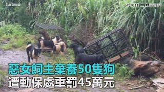 惡女飼主棄養50隻狗　遭動保處重罰45萬元｜三立新聞網SETN.com