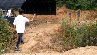 도끼던지기(Axe Throwing) - 20150613