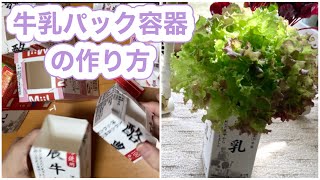 【牛乳パックで水耕栽培容器】作り方と栽培の流れ