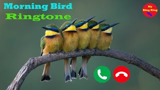 Morning Bird Ringtone||Best Bird Voice Sound[Download Link in Description]