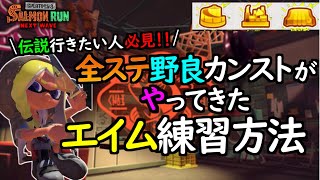 【全ステ野良カンスト】伝説帯行きたい人が上手くなるエイム練習方法【サーモンランNW】【スプラトゥーン3】