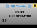 LIKE Operator with SELECT Command - SQL Basics Tutorial - Part 25