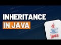 Inheritance in Java with Example Code | Importance Explained