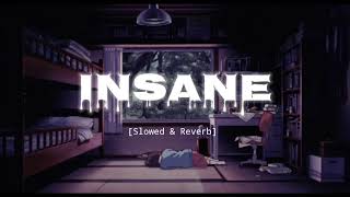 Insane / Eh Munde Pagal Ne Saare - Slowed & Reverb - Ap Dhillon, Gurinder Gill, Shinda Kahlon