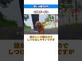 賢い犬種top5 shots