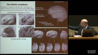 Représentation cérébrale des structures linguistiques (2) - Stanislas Dehaene (2015-2016)
