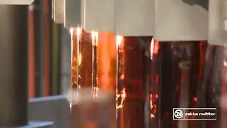 AVE Rinsing Filling & Capping Machine | High-Performance Bottling Solution