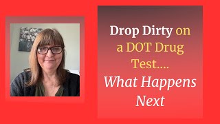 Dropped Dirty on a DOT Drug Test? Start Here (Full SAP Process Explained)