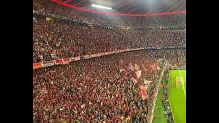 Bayern Munich Fans Going Crazy After First Goal Vs Barcelona