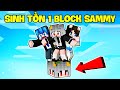 Sammy Cùng Phong Cận Thử Thách 24H Sinh Tồn 1 Block Sammy Trong Minecraft