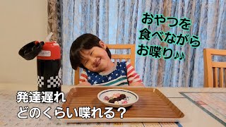 4歳発達遅れの会話はこんな感じ☆