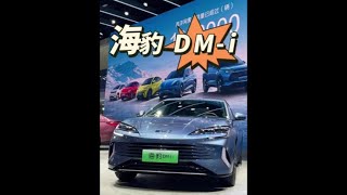 #比亚迪海豹DM-i上市 比亚迪海豹DM-i 做工、配置、空间详细体验