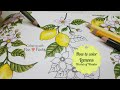 How to color Lemons with colored Pencil | Coloring tutorial | Prismacolor