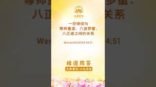 🌈精选问答20250103 一世修成与尊师重道、六波罗蜜、八正道之间的关系