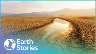Can Scientists Save Our Earth? | Earth's Survival | Earth Stories