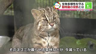 ツクル、ミライ。【生物多様性を守る 動物園の役割とは】