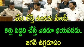 జగన్‌ అసాధారణ రీతిలో స్పందన||  ys jagan warning to tdp in ap assembly