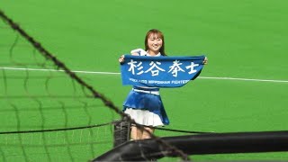 ＜2022.6.7DeNA戦＞ファイターズガール「恋のマイアヒ」